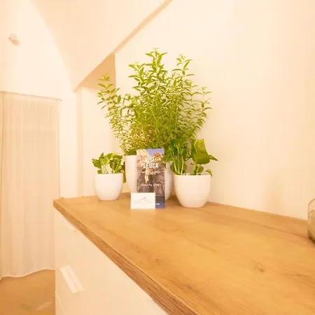 Palazzo Le Zicaredde سالفي